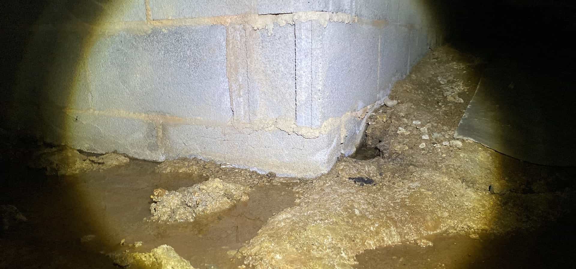 HydroHelp911 Crawl Space & Foundation Repair inspecting standing water and efflorescence in a wet crawl space.
