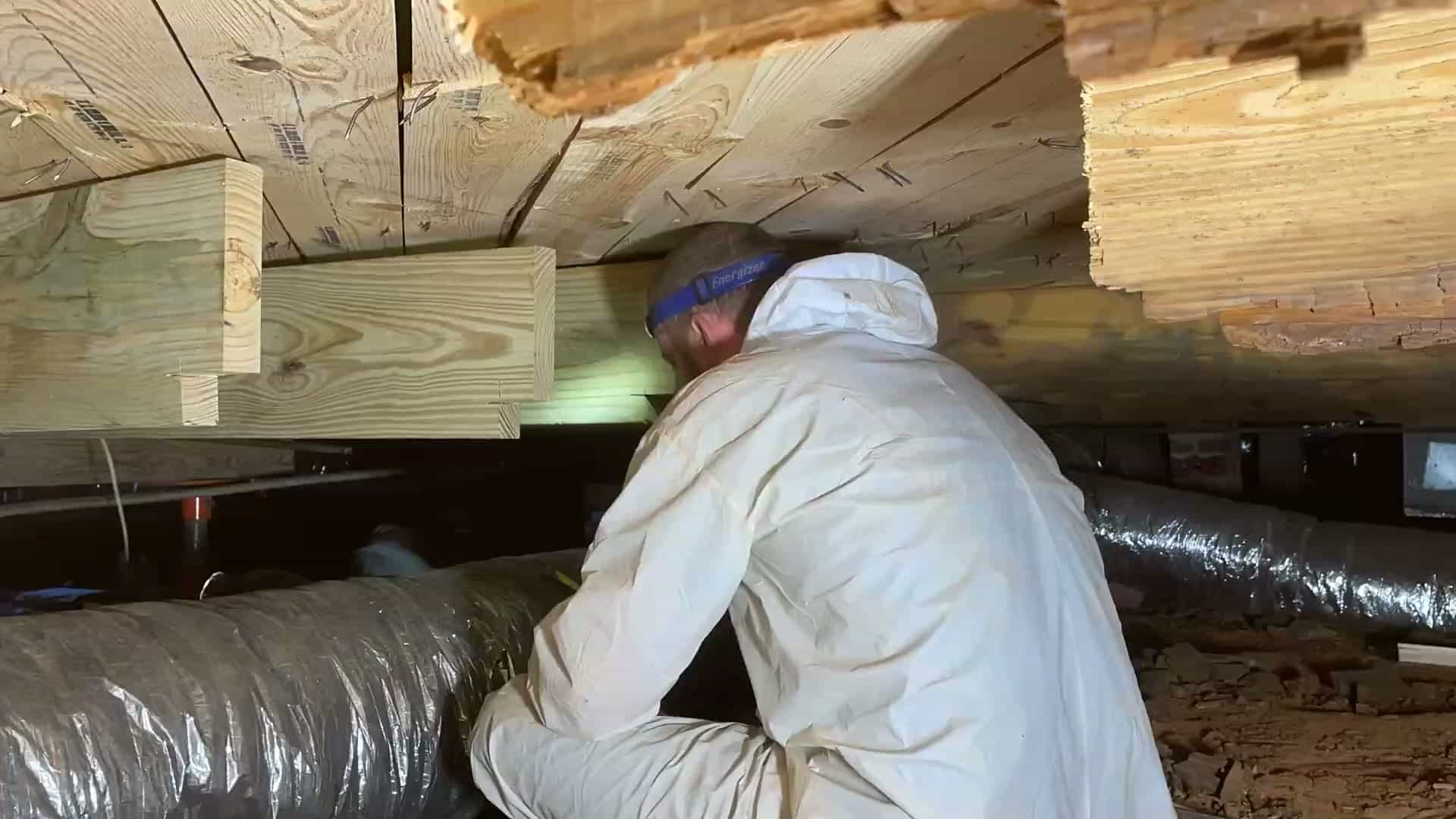 HydroHelp911 Crawl Space & Foundation Repair technician installing structural sister joists in a crawl space.
