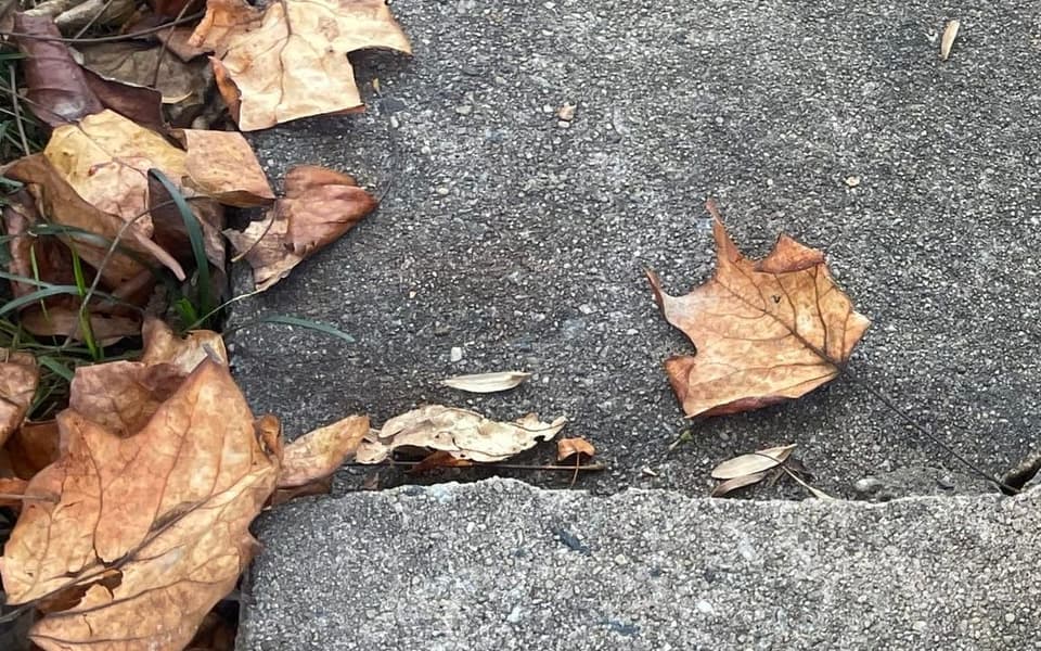 A crack across a concrete walkway where the two sections no longer sit flush