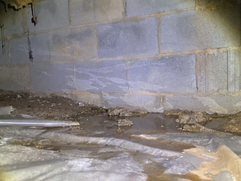 Water pooled on a plastic ground cover along a block crawl space wall