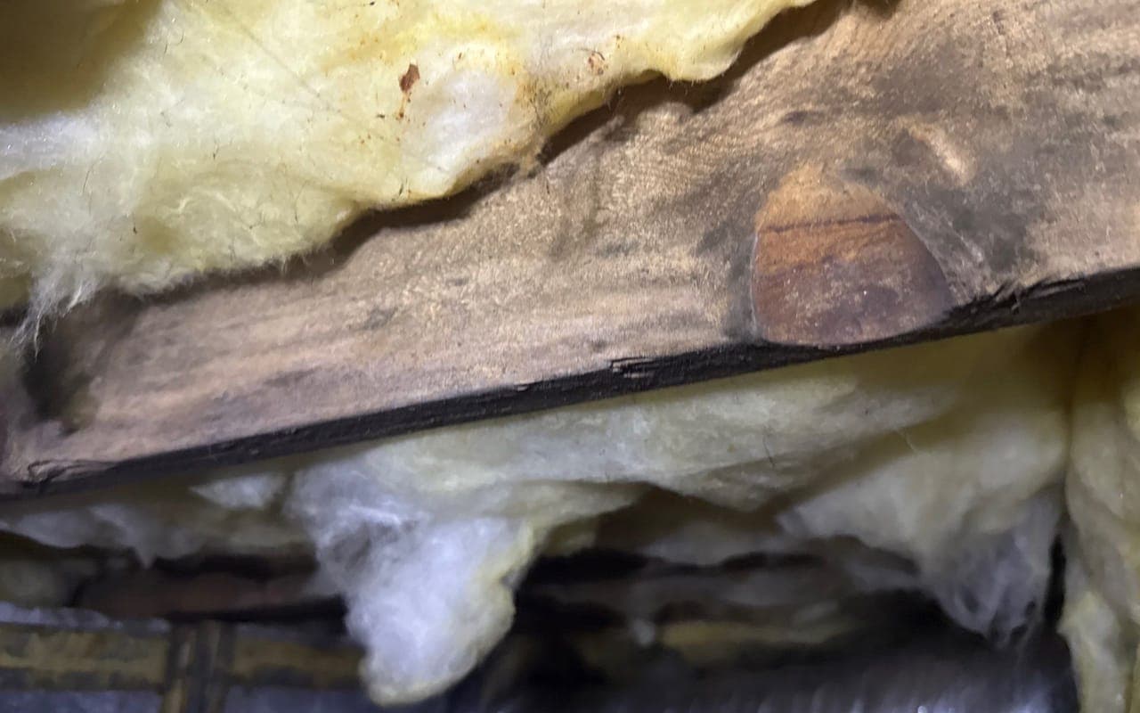 A dark, damp floor joist between sagging insulation in a crawl space