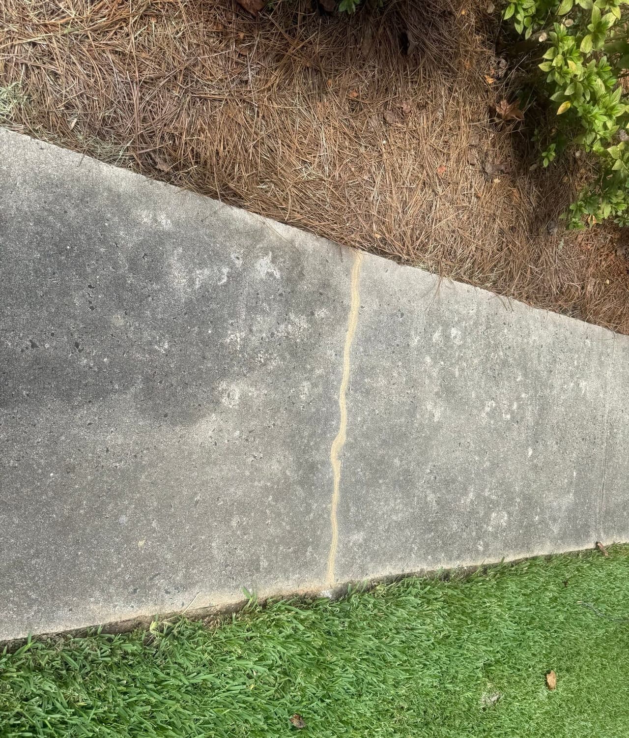 Concrete walkway with a sealed joint between pine straw and grass.