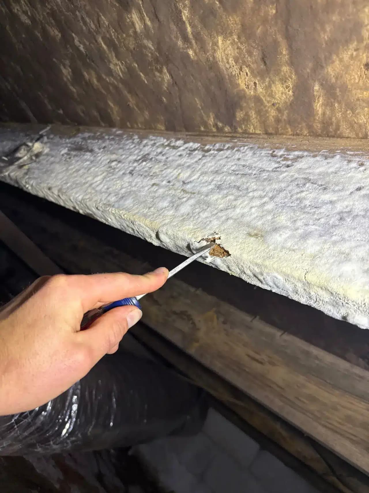 HydroHelp911 Crawl Space & Foundation Repair inspecting damaged wood and deteriorating insulation in a crawl space.
