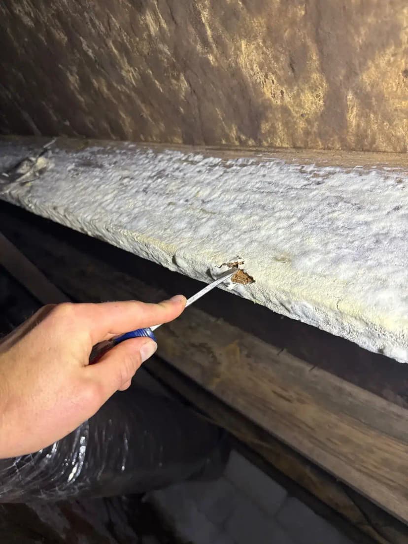 HydroHelp911 Crawl Space & Foundation Repair inspecting damaged wood and deteriorating insulation in a crawl space.