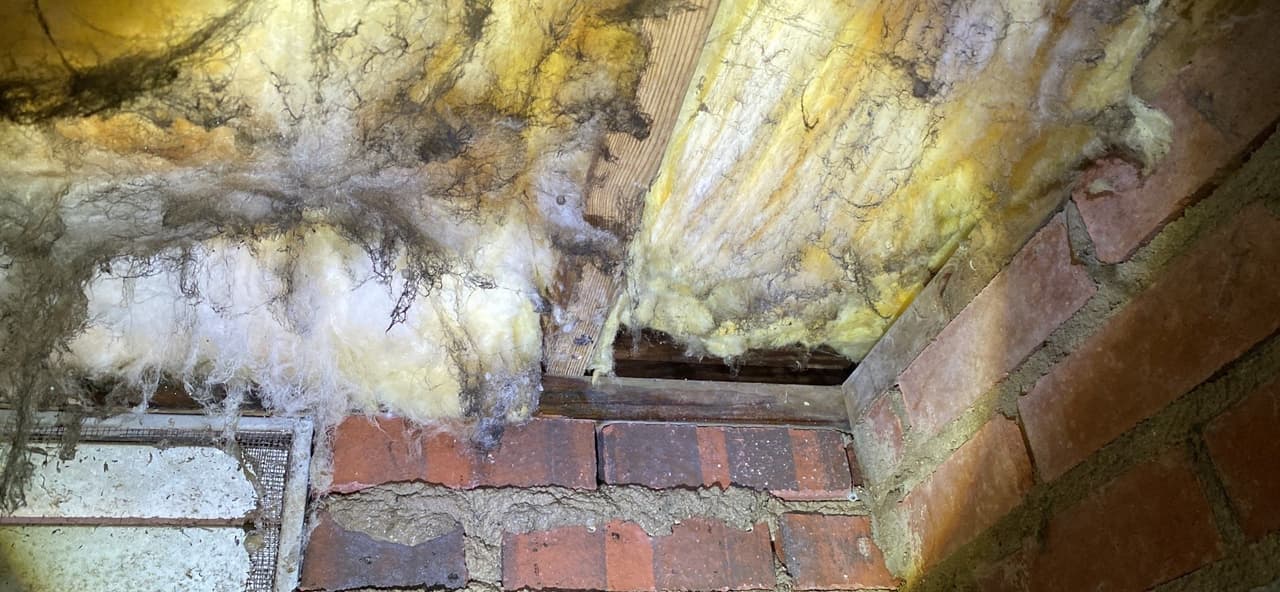 HydroHelp911 Crawl Space & Foundation Repair inspecting deteriorating insulation in a damp crawl space.