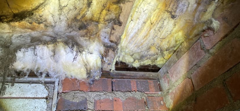 HydroHelp911 Crawl Space & Foundation Repair inspecting deteriorating insulation in a damp crawl space.