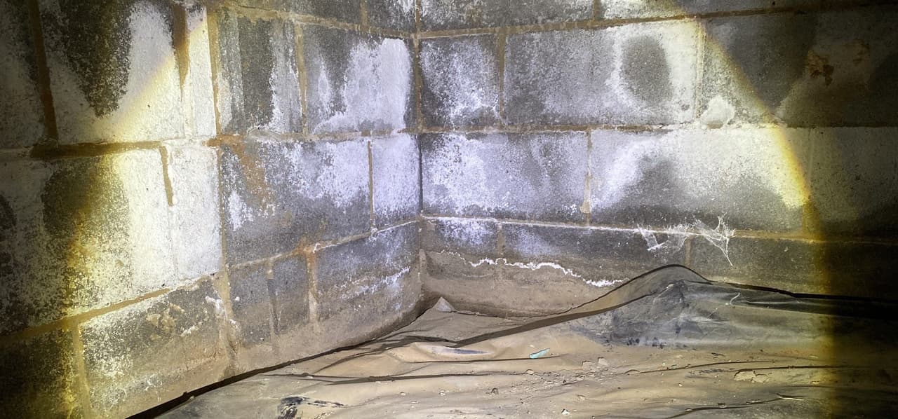 HydroHelp911 Crawl Space & Foundation Repair inspecting efflorescence and moisture in a crawl space with an existing ground