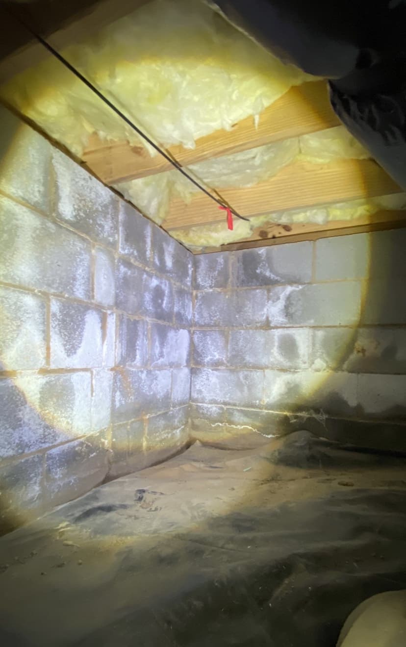 HydroHelp911 Crawl Space & Foundation Repair inspecting crawl space moisture, efflorescence, and deteriorating insulation.