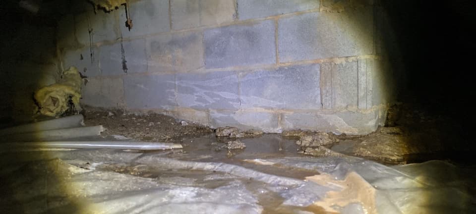 HydroHelp911 Crawl Space & Foundation Repair inspecting pooled water and damp conditions in a crawl space.