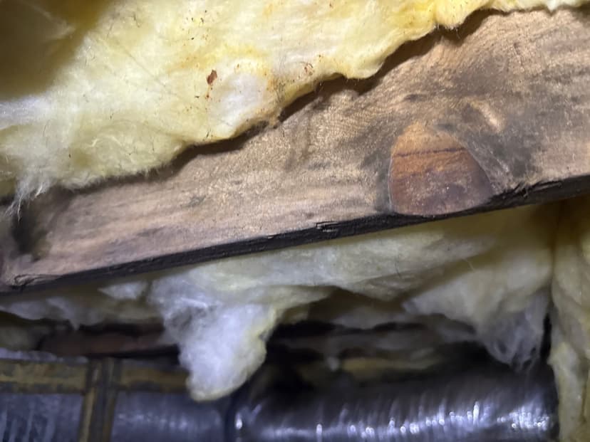 HydroHelp911 Crawl Space & Foundation Repair inspecting deteriorating insulation and rotted wood joists in a damp crawl