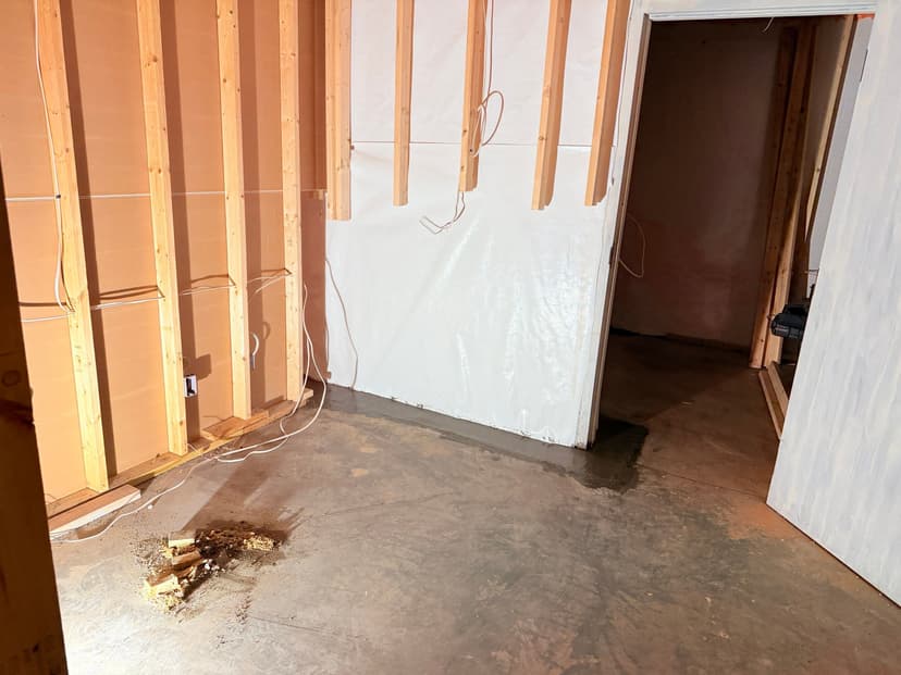 HydroHelp911 Crawl Space & Foundation Repair inspecting water in the basement cove with pooled water, wet basement walls