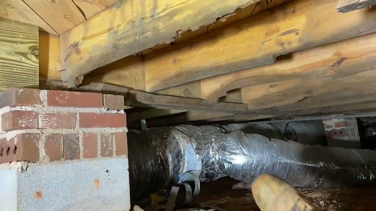 Inspecting damaged floor joists in a crawl space.