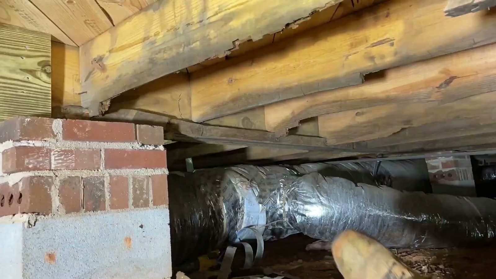 HydroHelp911 Crawl Space & Foundation Repair inspecting damaged floor joists in a crawl space.