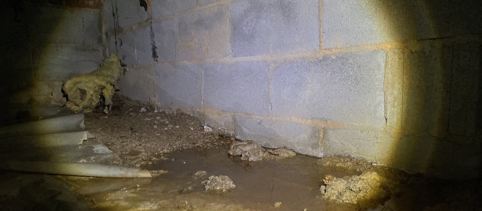 HydroHelp911 Crawl Space & Foundation Repair inspecting pooled water, deteriorating insulation, and an existing ground cover