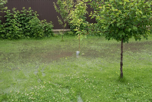 Improper Drainage at a HydroHelp911 project