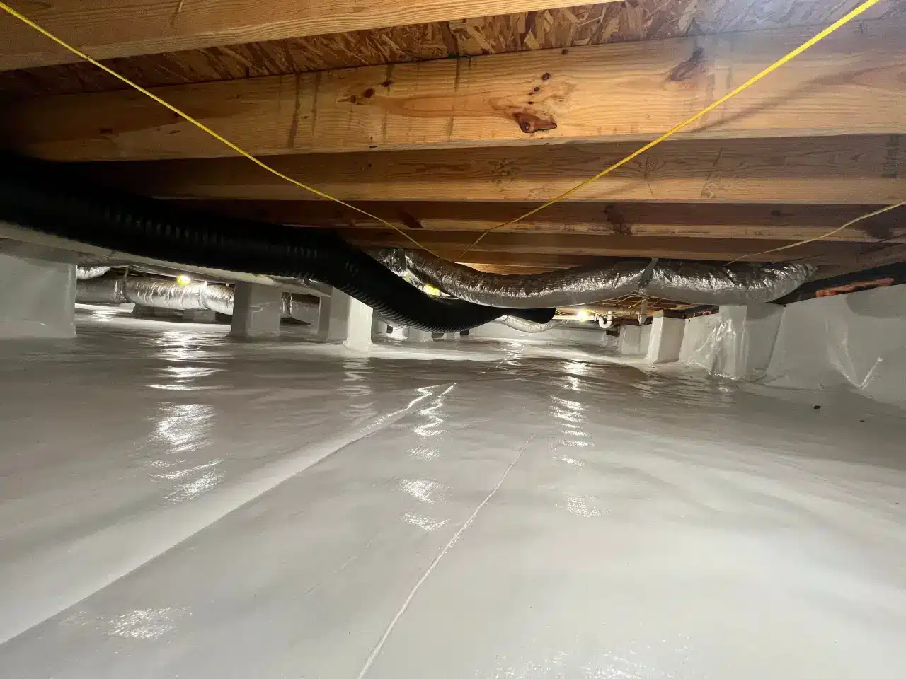 Rotten Wood at a HydroHelp911 project