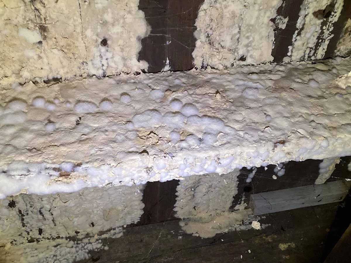 Underlying cause of rotten wood in Carolinas homes