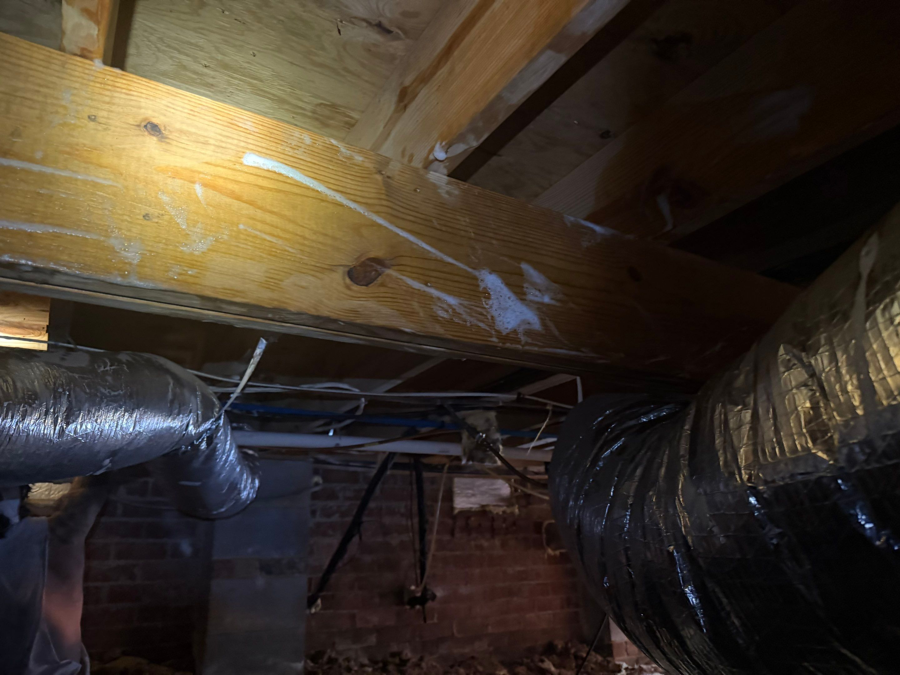 Job-site photo 5: Crawl Space Encapsulation in Charlotte, Nc