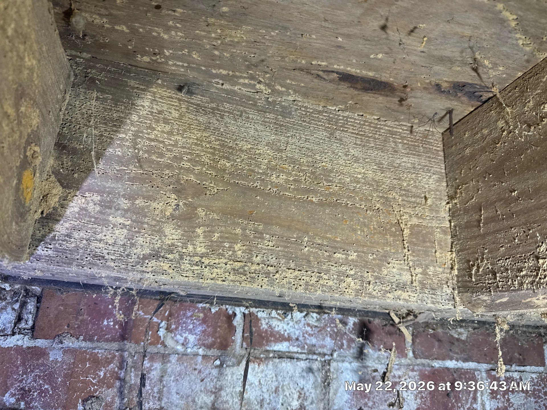 Job-site photo 5: Crawl Space Encapsulation in Concord, NC
