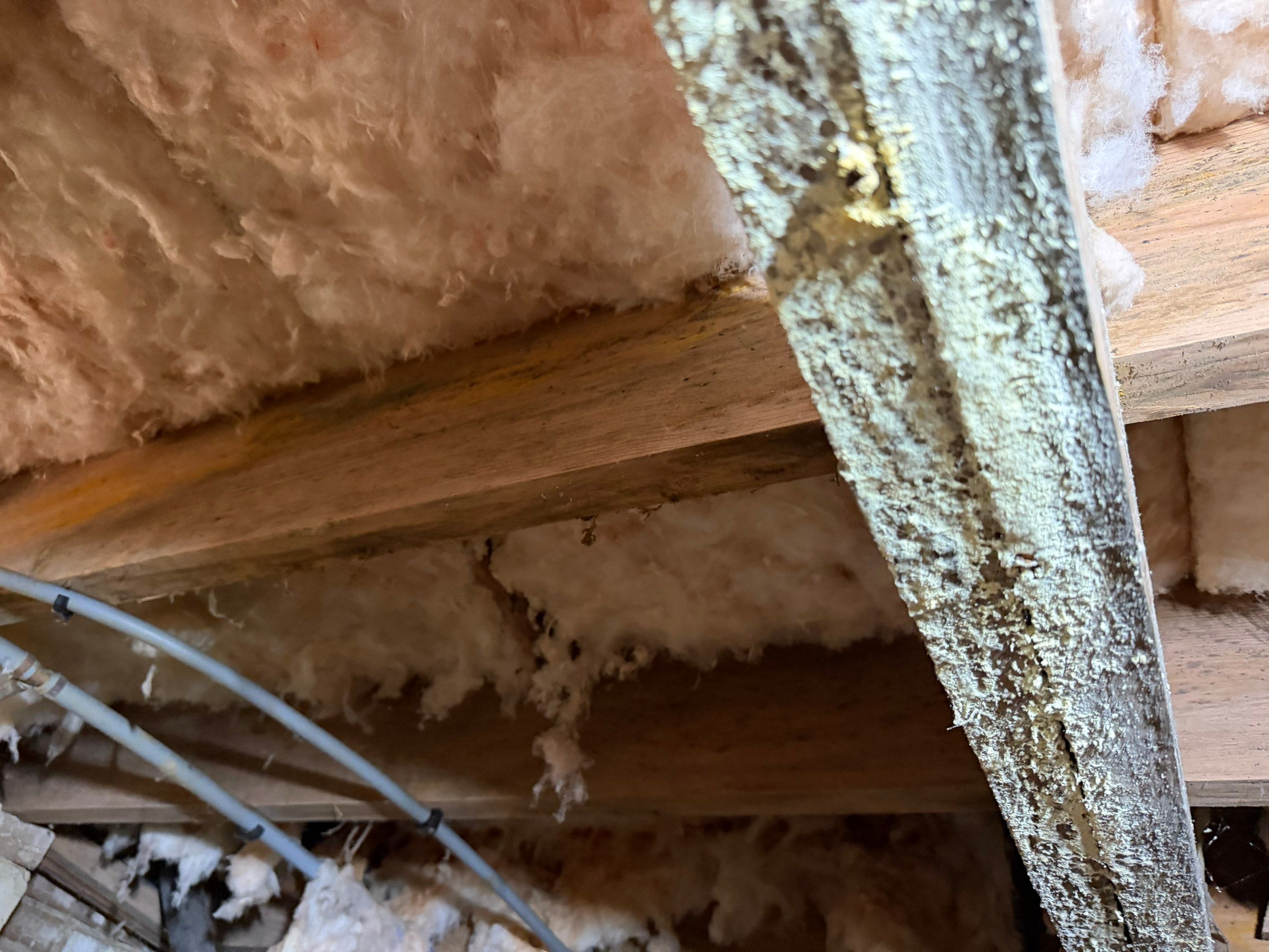 Job-site photo 4: Crawl Space Structural Support & Encapsulation in Matthews, NC