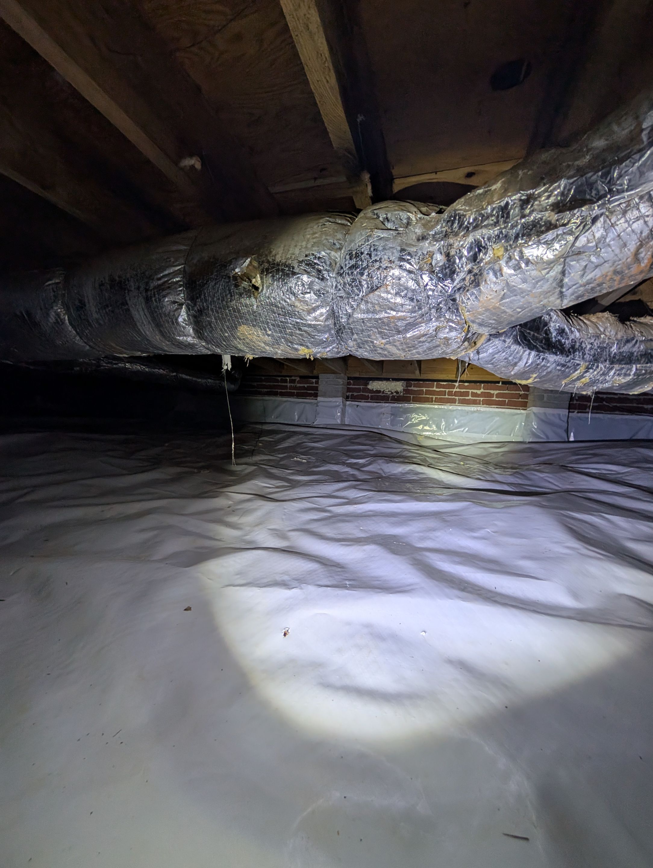 Job-site photo 7: Crawl Space Encapsulation in Greenville, SC