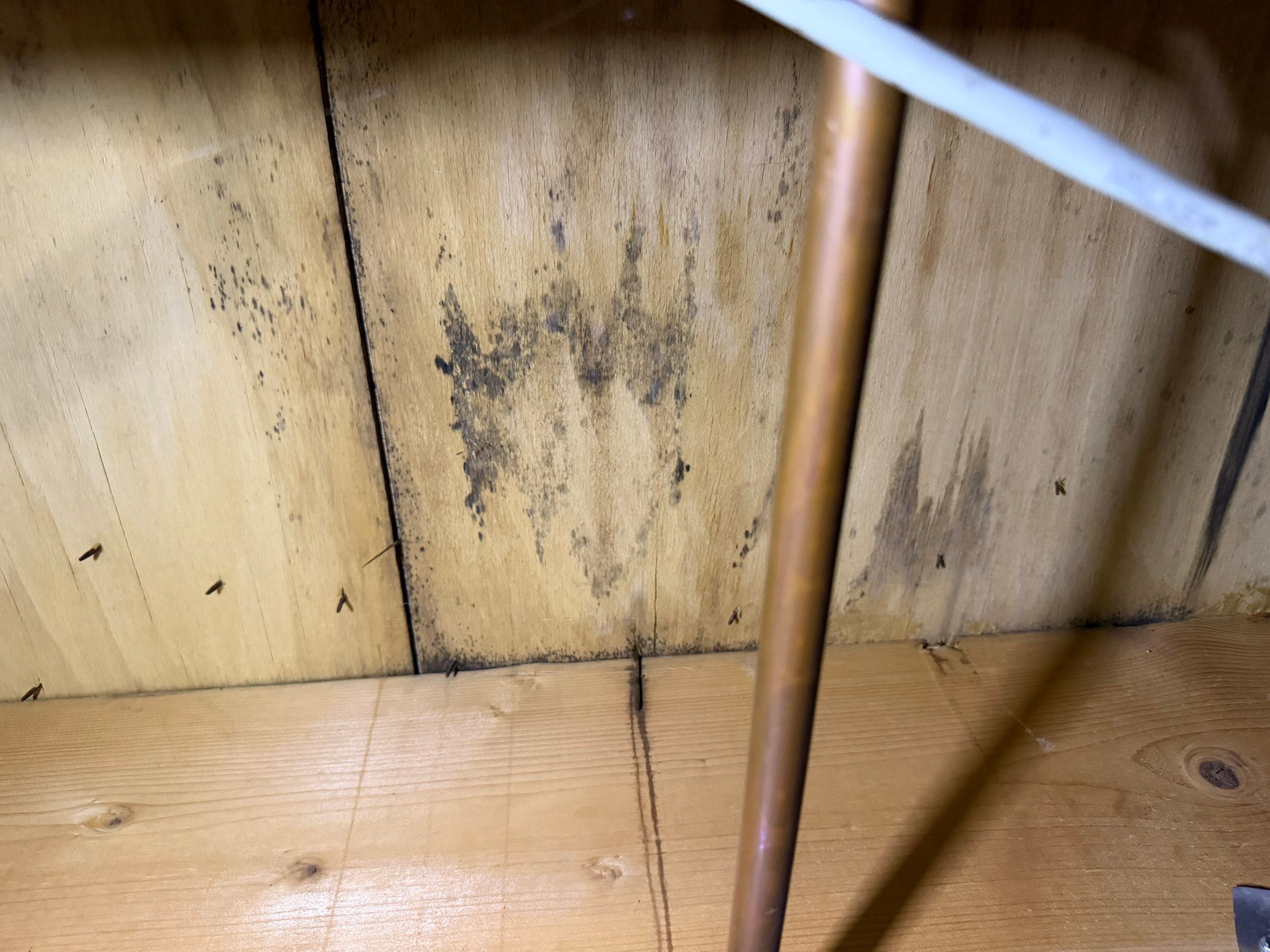 Job-site photo 7: Crawl Space Encapsulation in Mooresville, NC