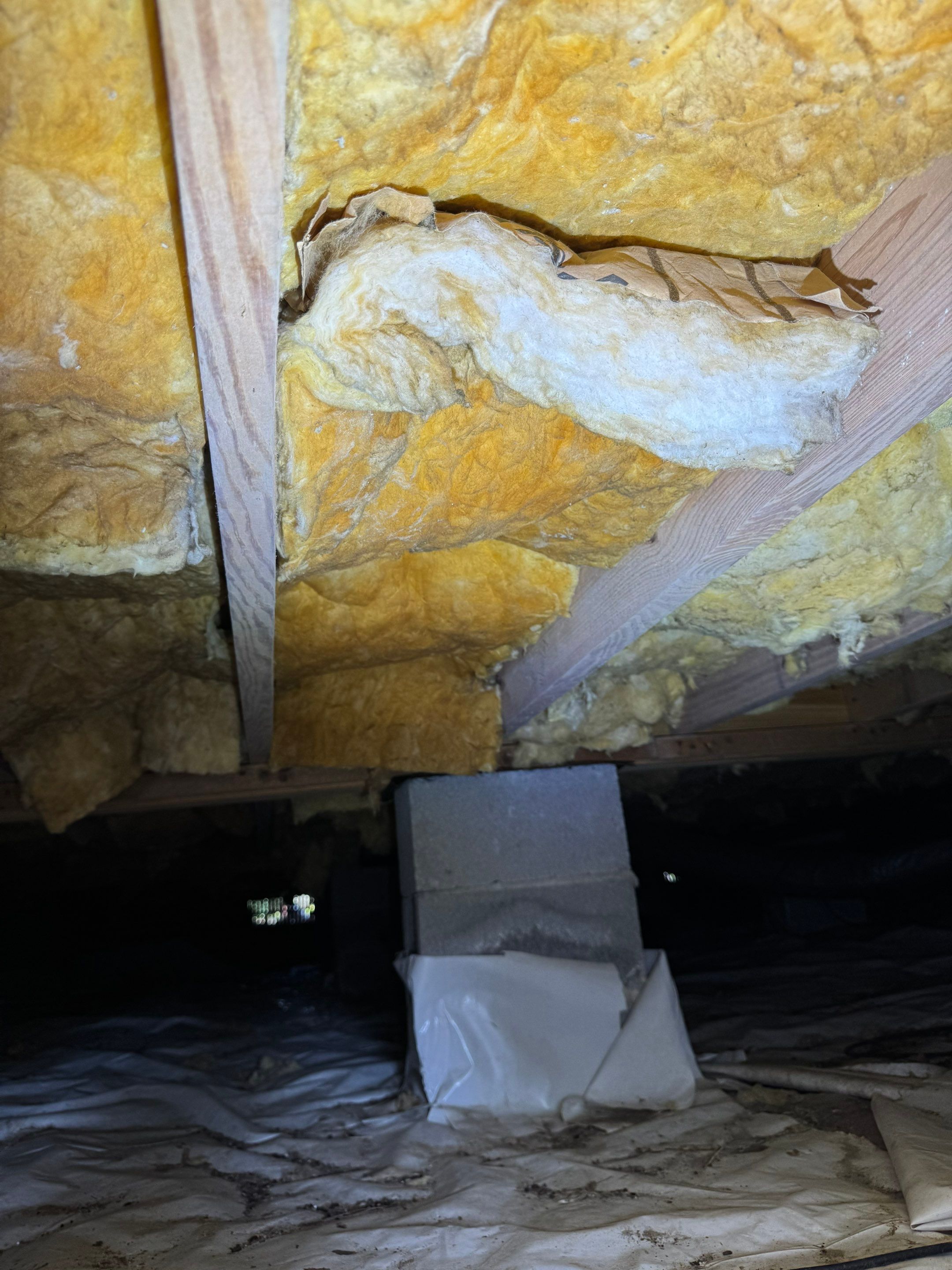 Job-site photo 6: Crawl Space Encapsulation in Hampstead, NC