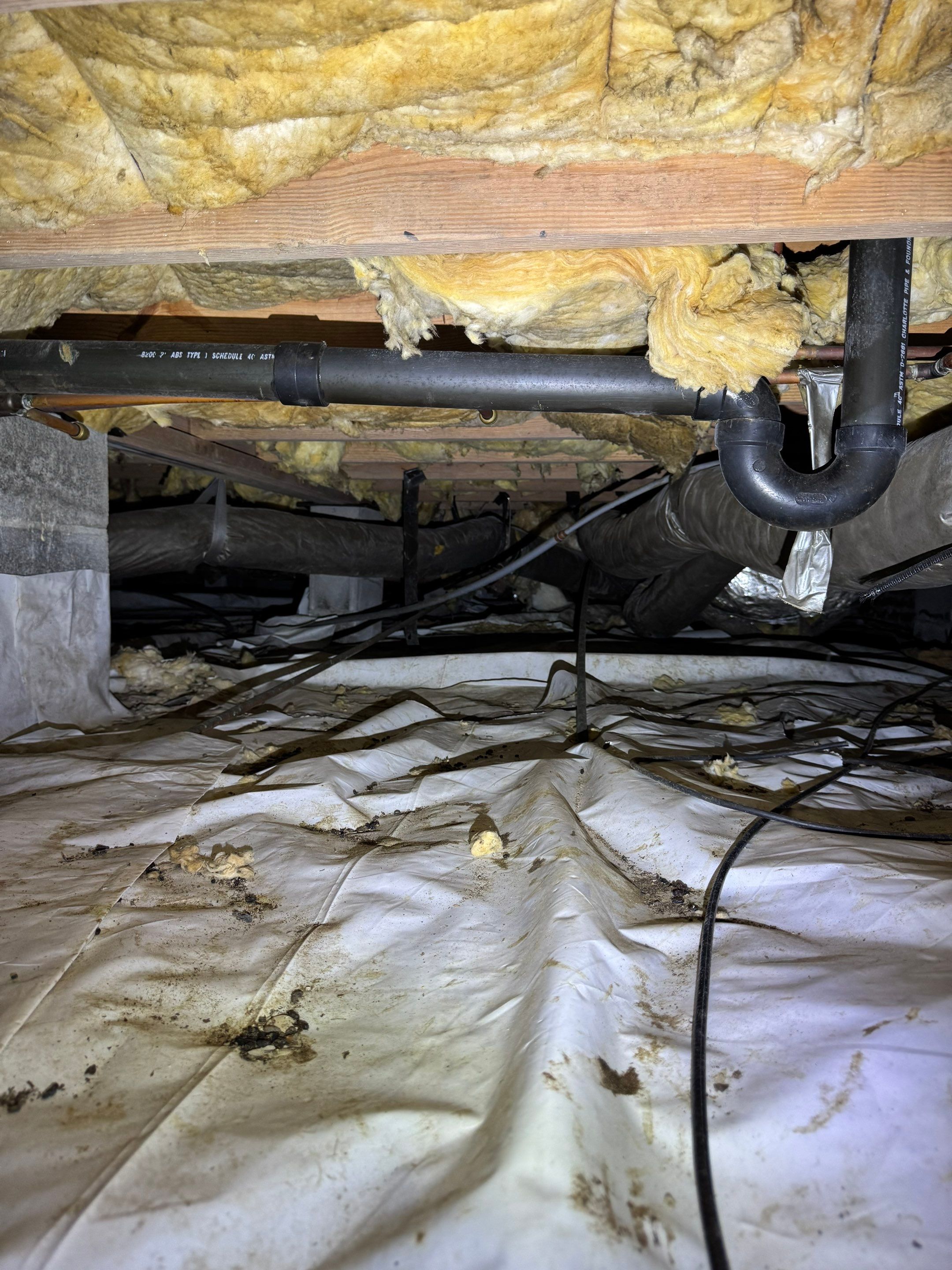 Job-site photo 7: Crawl Space Encapsulation in Hampstead, NC