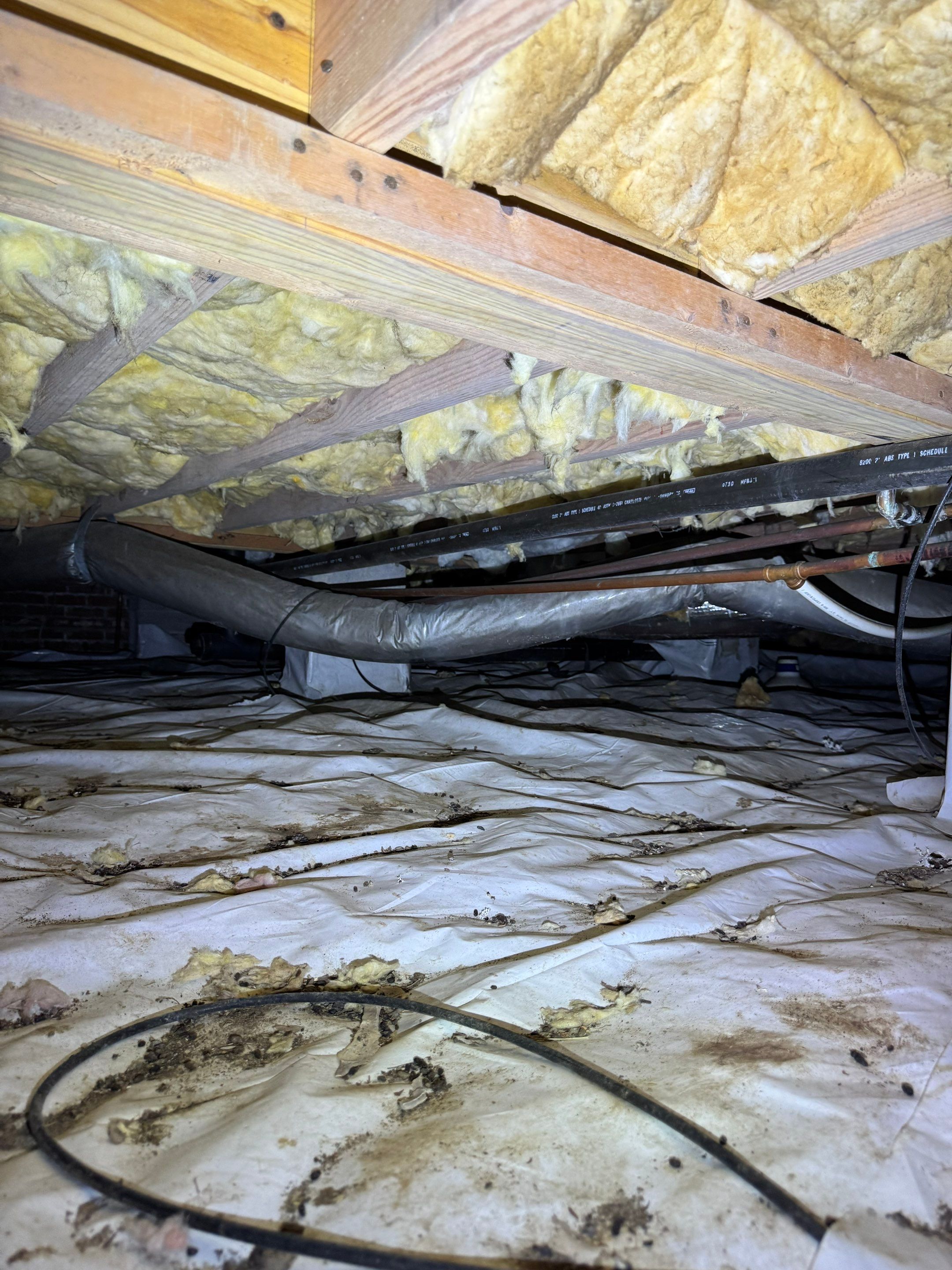 Job-site photo 8: Crawl Space Encapsulation in Hampstead, NC