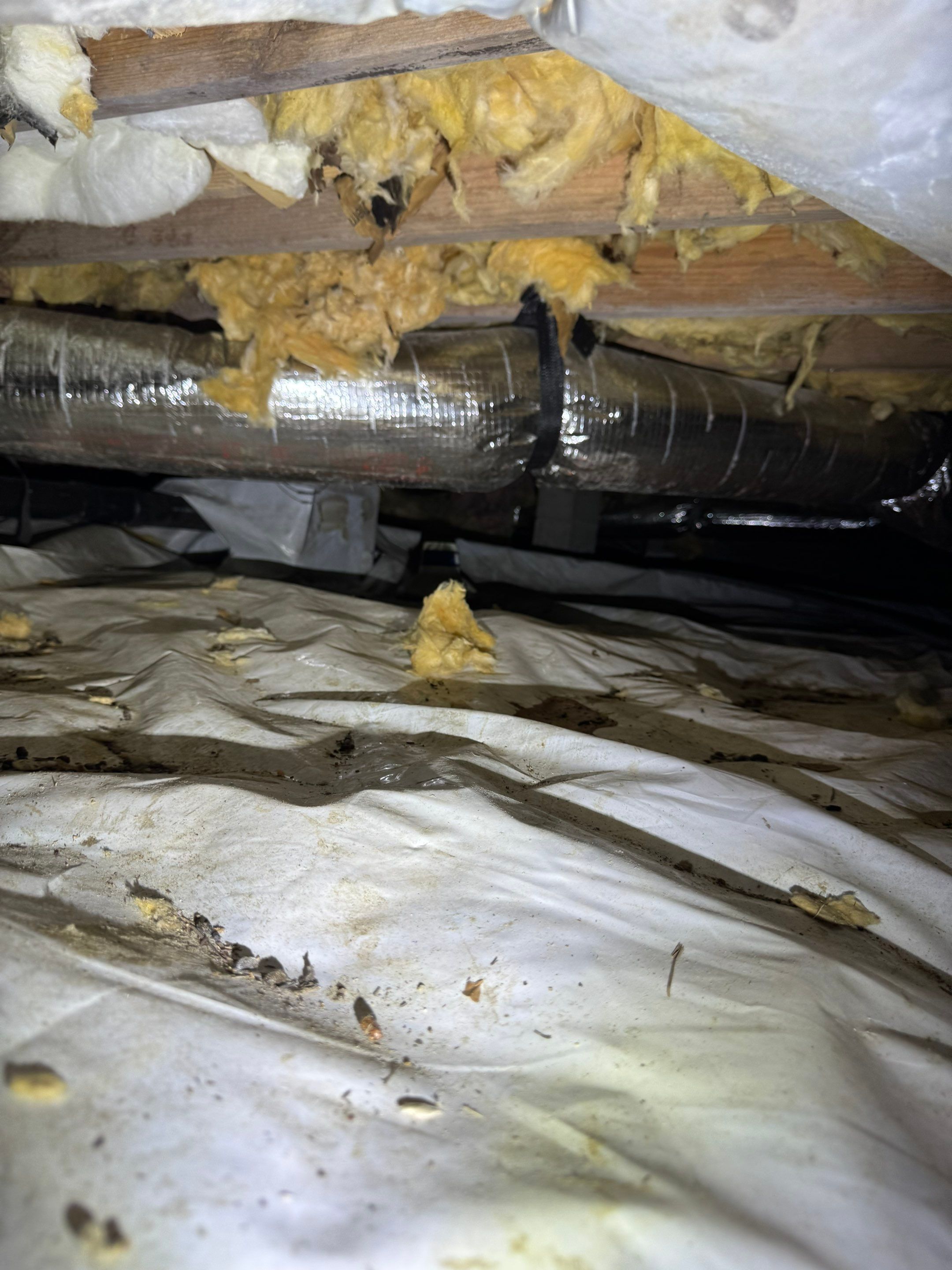 Job-site photo 9: Crawl Space Encapsulation in Hampstead, NC