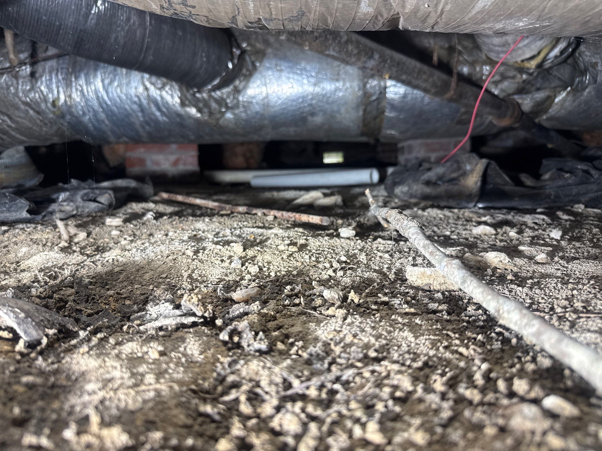 Job-site photo 9: Crawl Space Encapsulation in Belmont, NC