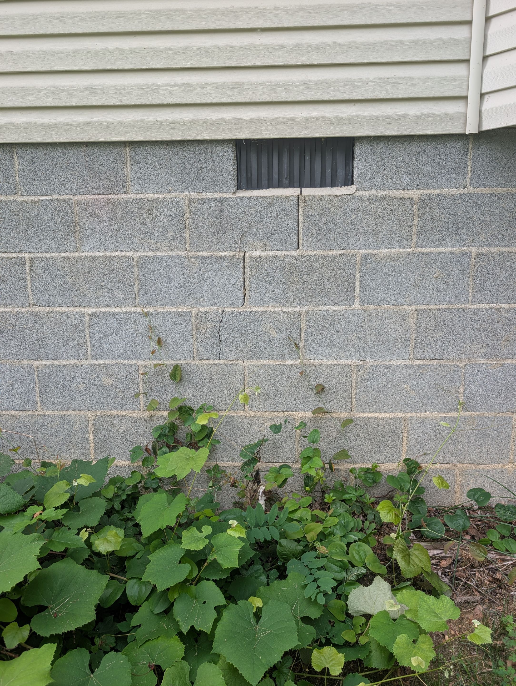 Job-site photo 6: Foundation Repair in Hendersonville , Nc