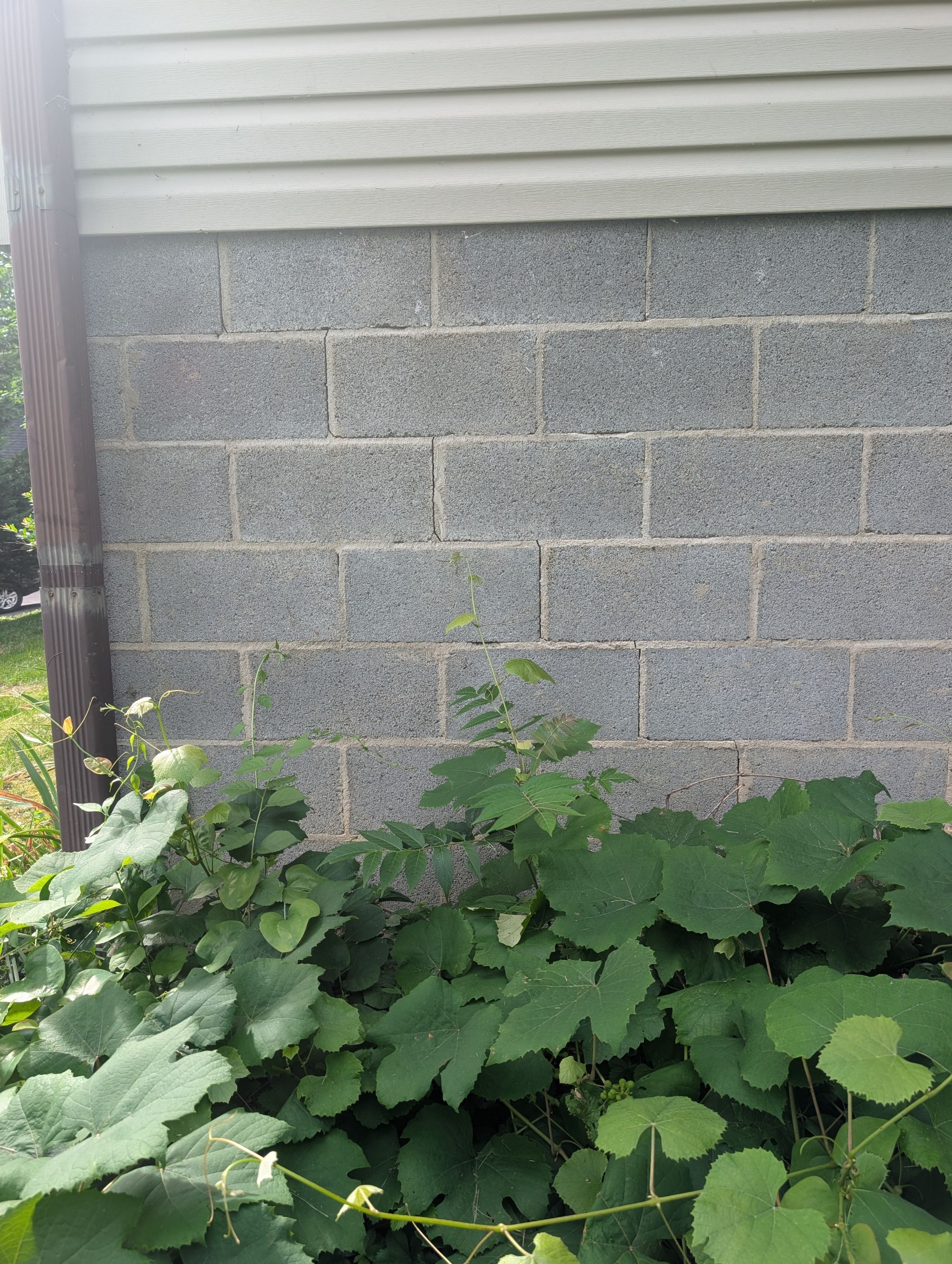 Job-site photo 8: Foundation Repair in Hendersonville , Nc