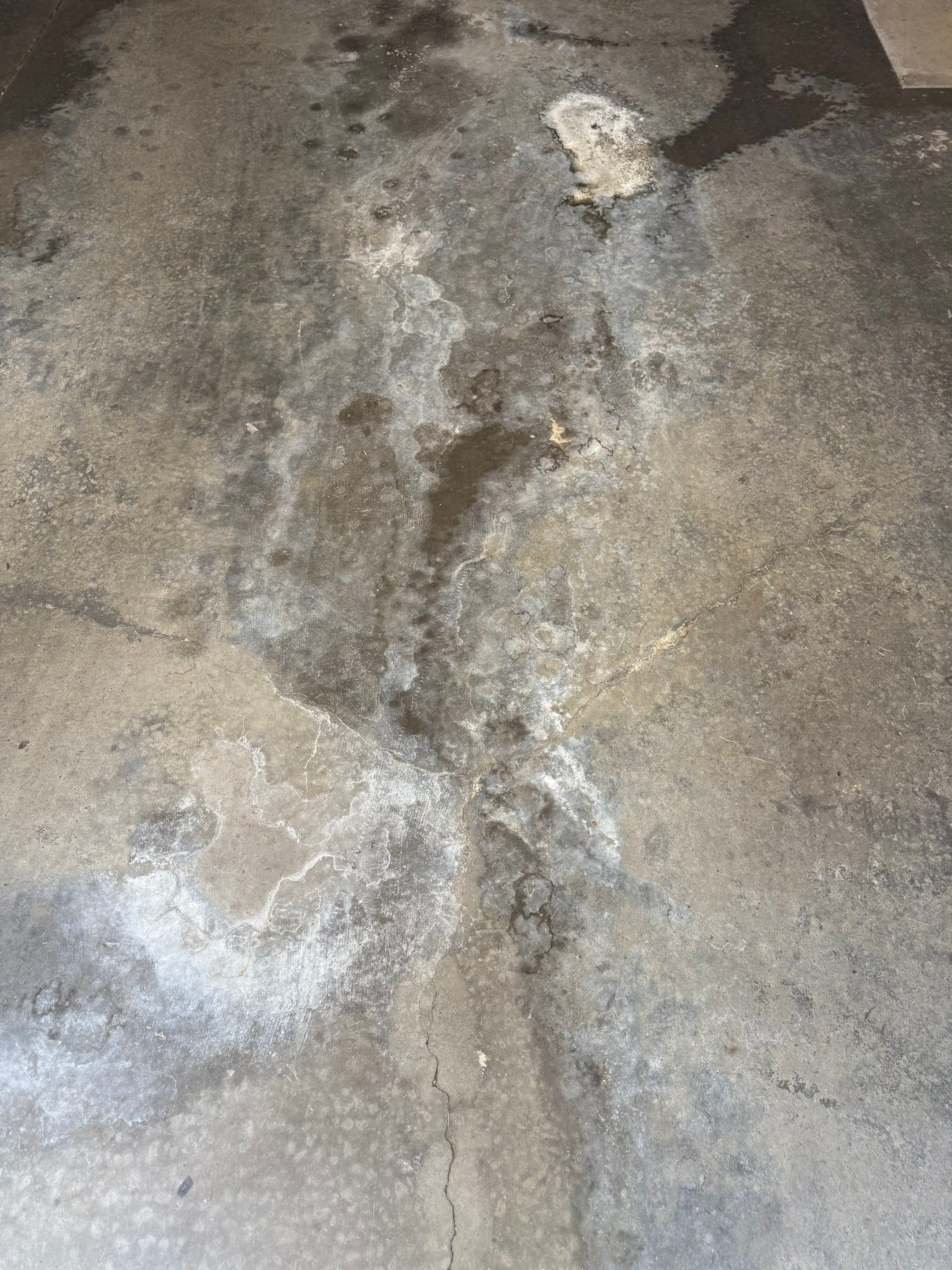 Job-site photo 5: Crawl Space Encapsulation in Charlotte, NC