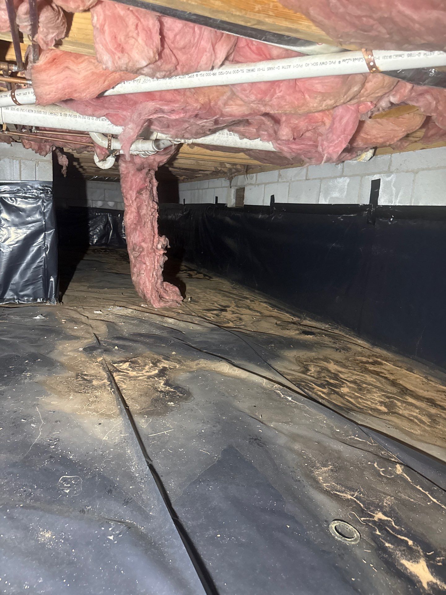 Job-site photo 6: Crawl Space Encapsulation in Asheville, NC