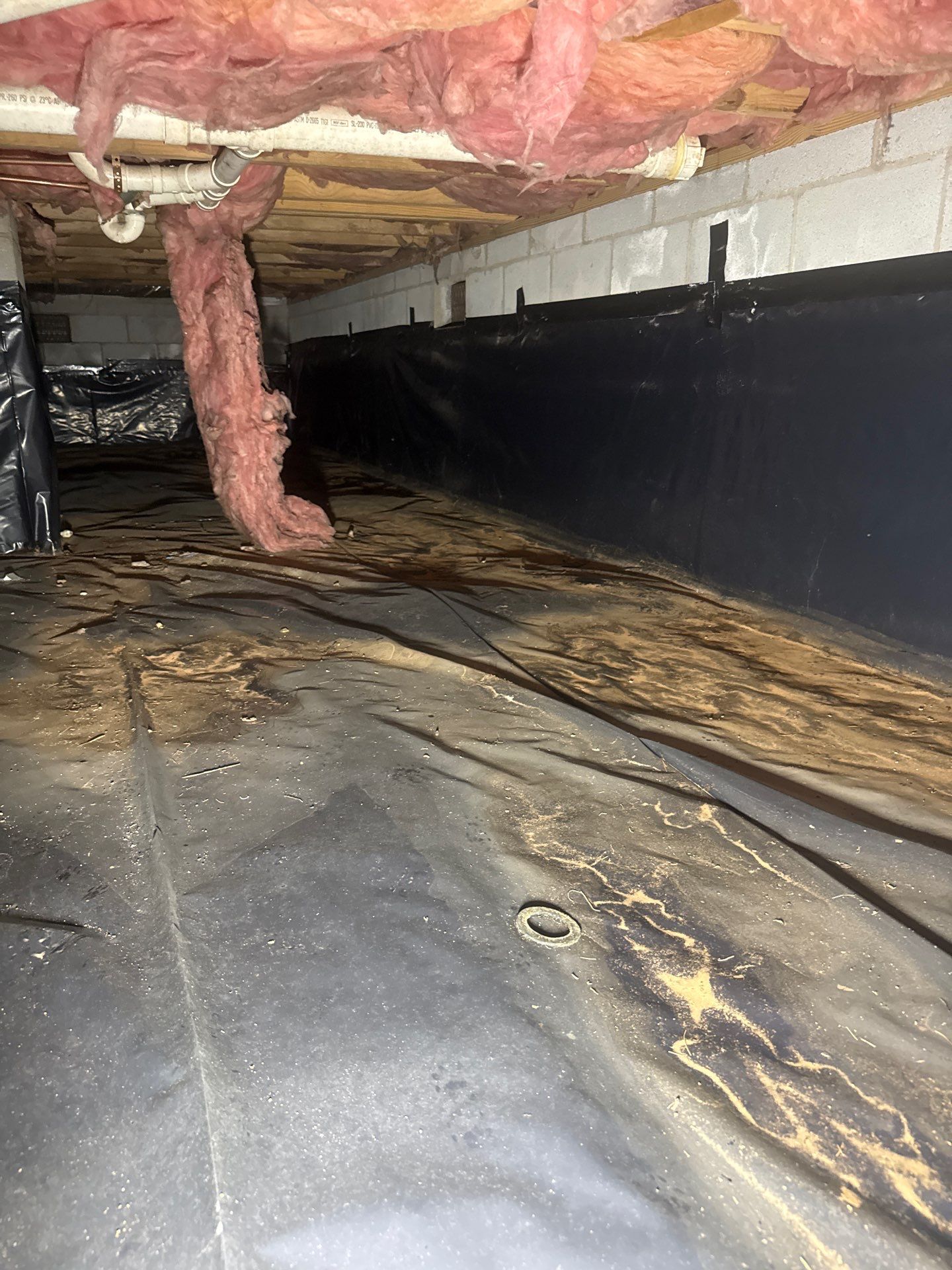 Job-site photo 9: Crawl Space Encapsulation in Asheville, NC