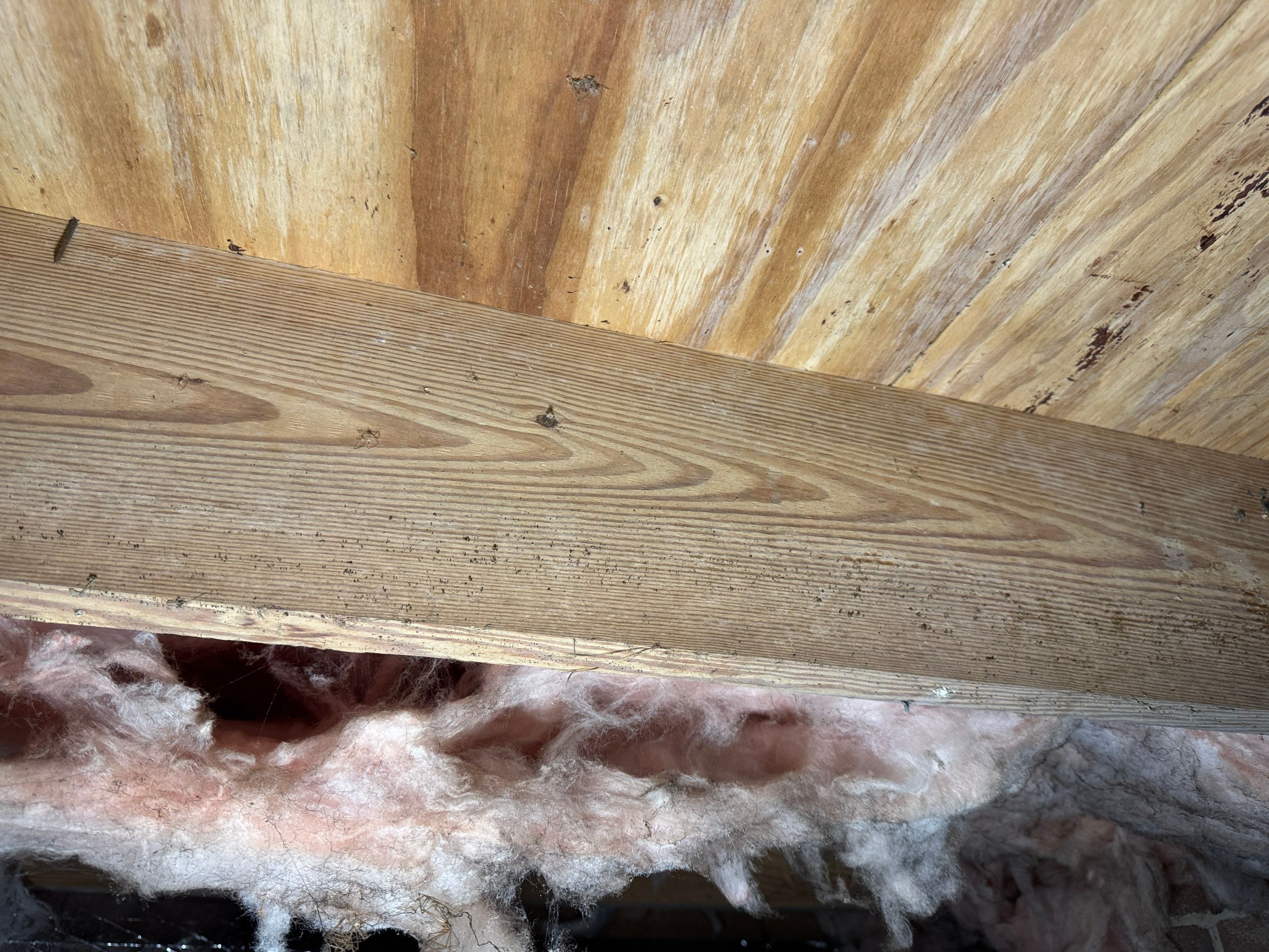 Job-site photo 6: Crawl Space Encapsulation in Gastonia, NC
