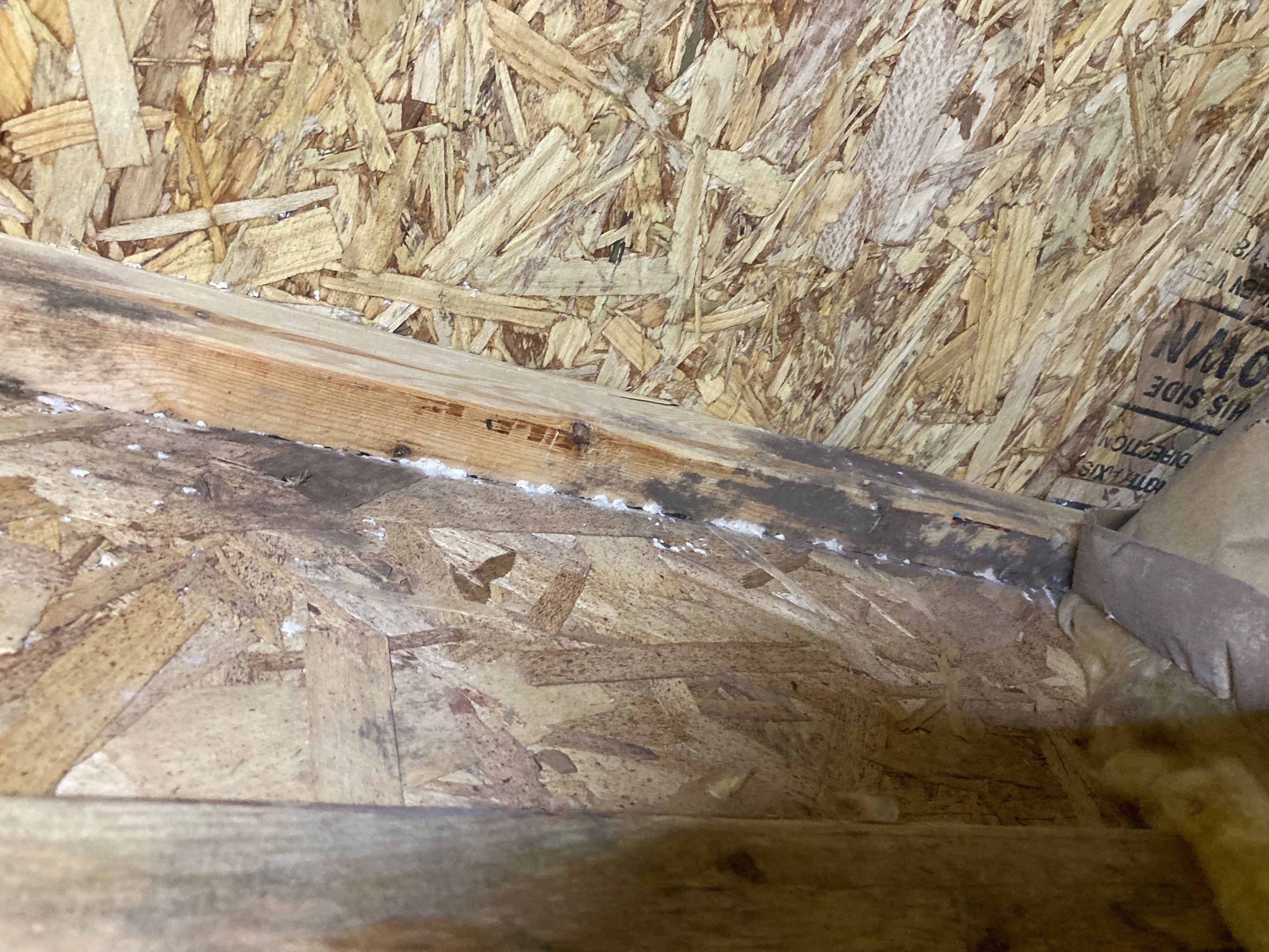 Job-site photo 9: Crawl Space Encapsulation in Charlotte, NC