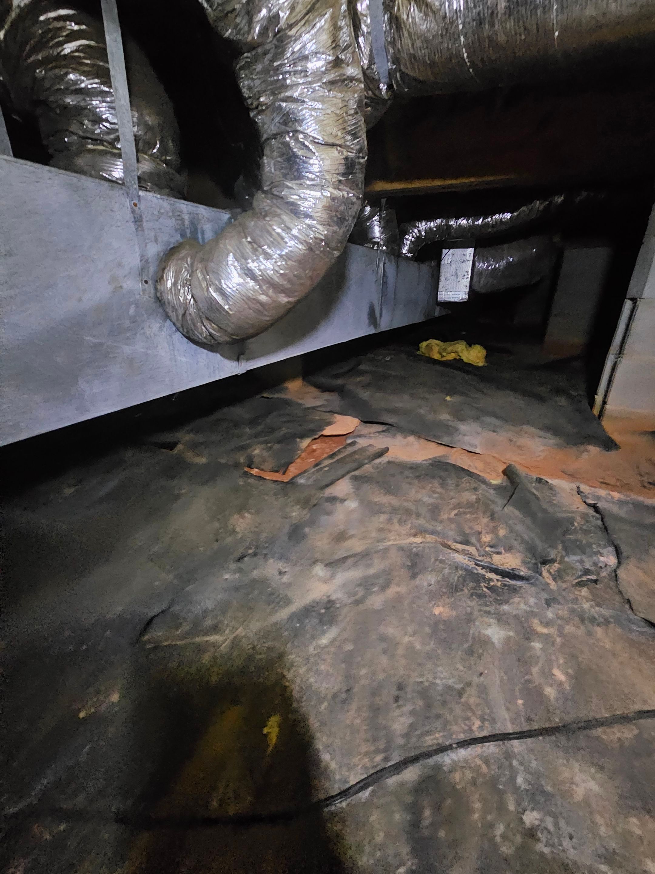 Job-site photo 6: Basement Waterproofing in Cornelius, NC