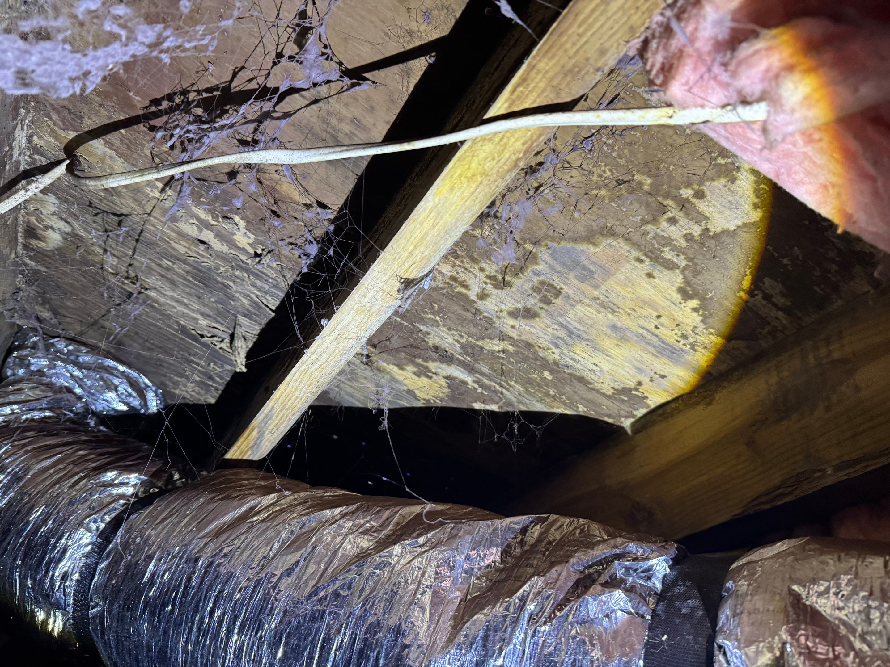 Job-site photo 6: Crawl Space Encapsulation in Taylors, SC