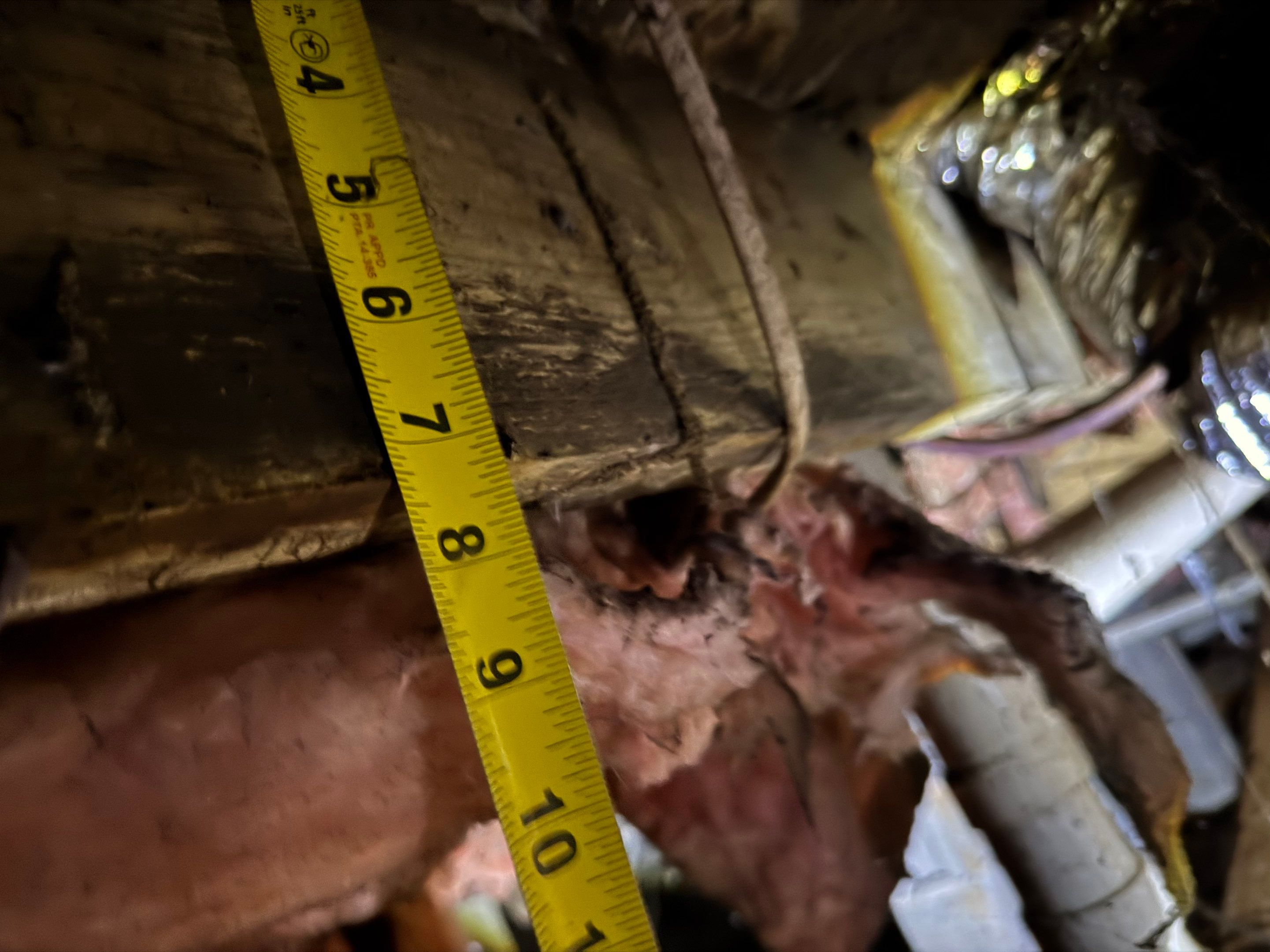 Job-site photo 7: Crawl Space Encapsulation in Taylors, SC
