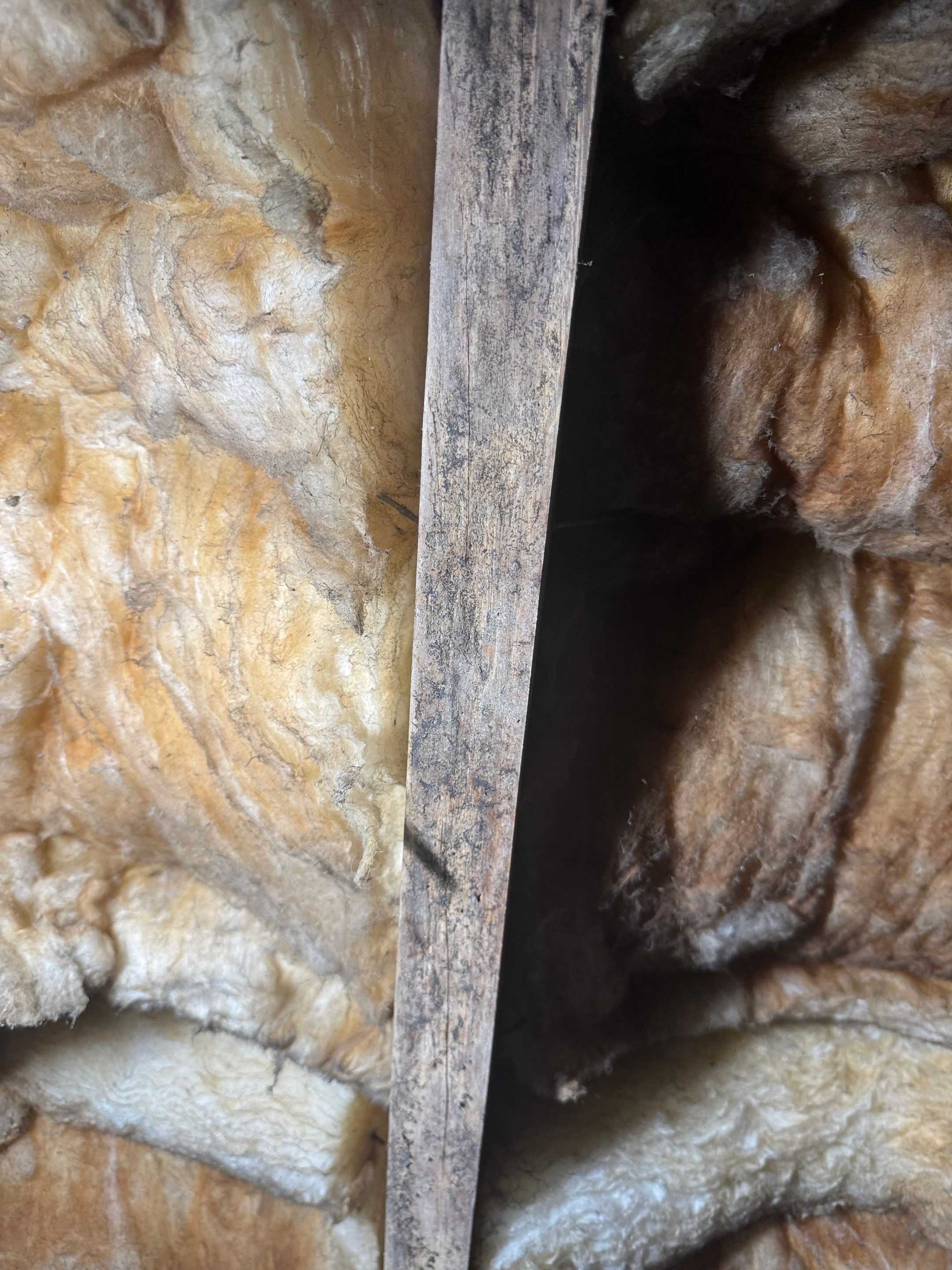 Job-site photo 4: Crawl Space Encapsulation in Concord, NC