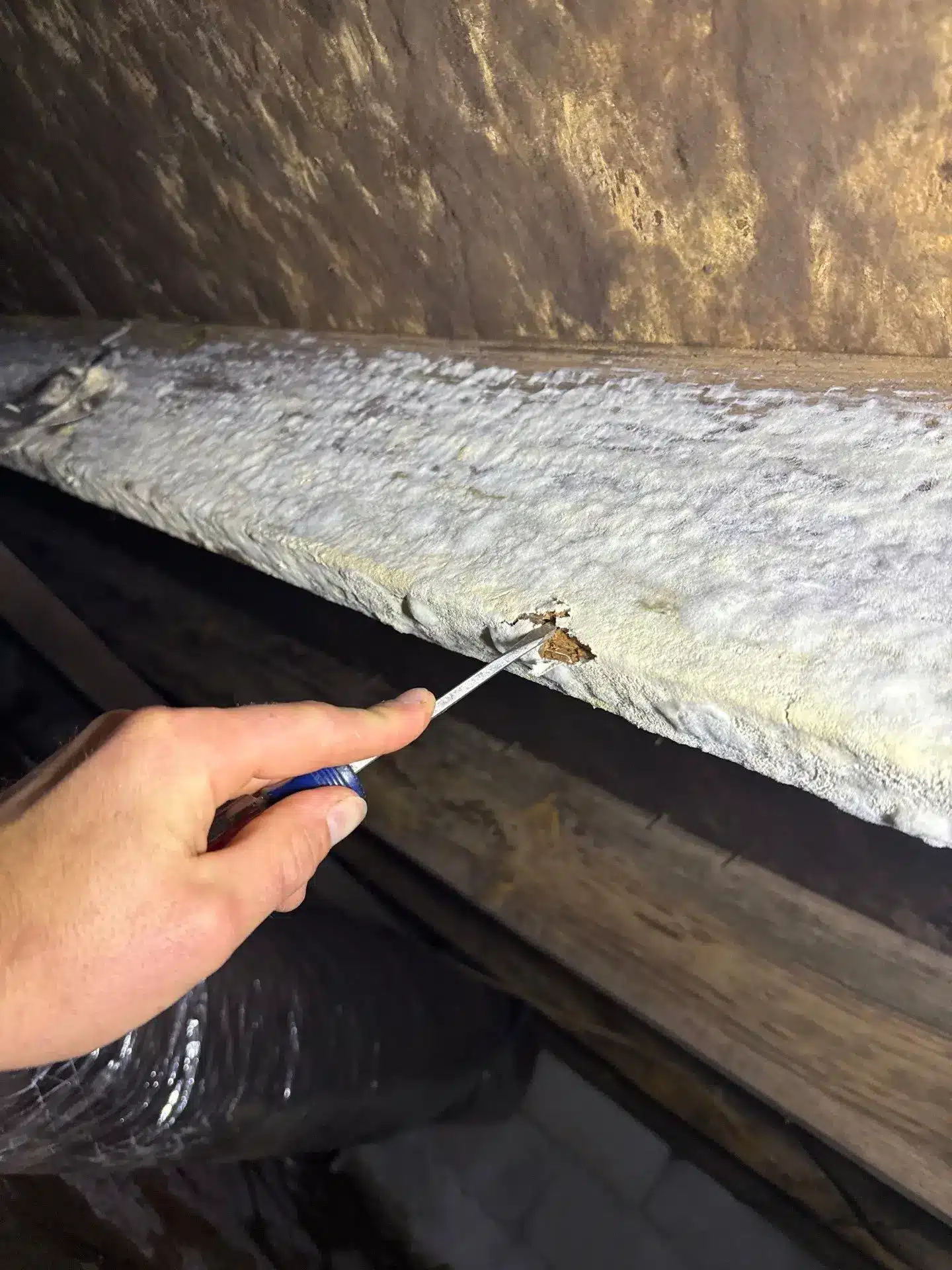 Screwdriver probing a damp, damaged floor joist in a crawl space