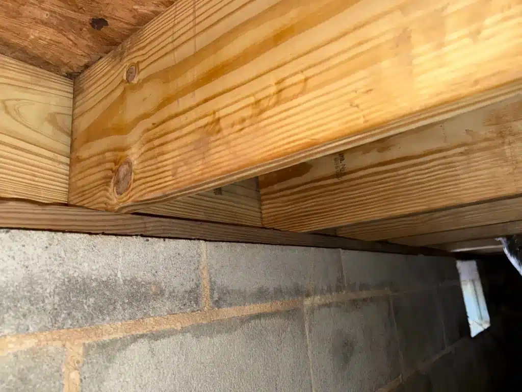 New pressure treated girder and joists resting on a block foundation wall in a crawl space