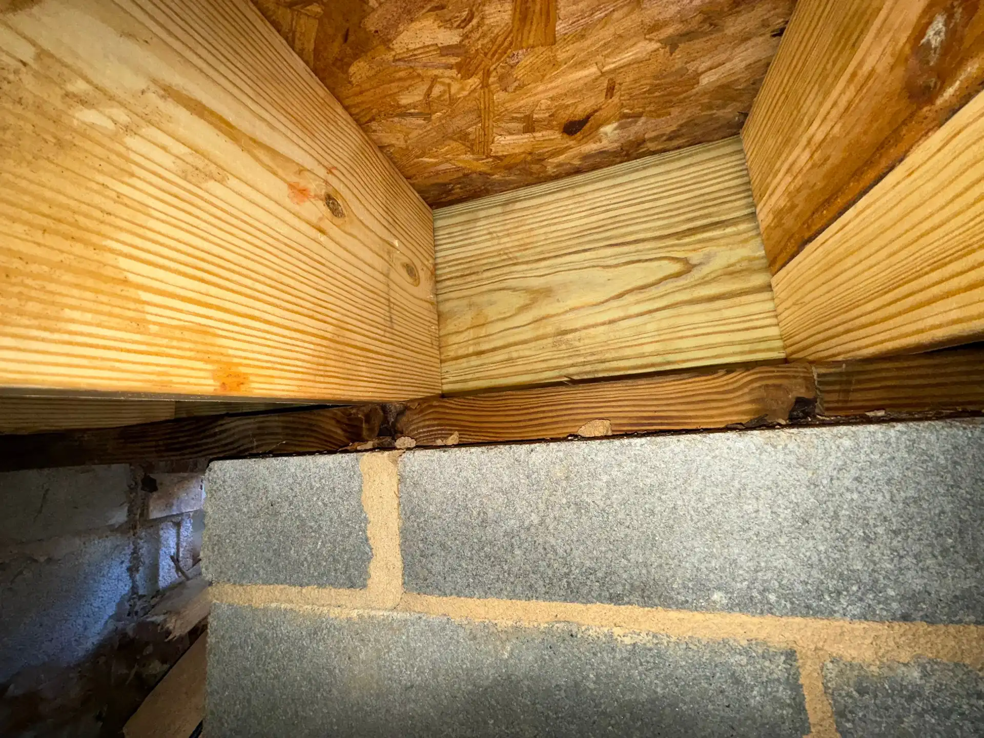 New light colored band board and joists seated on a block foundation wall