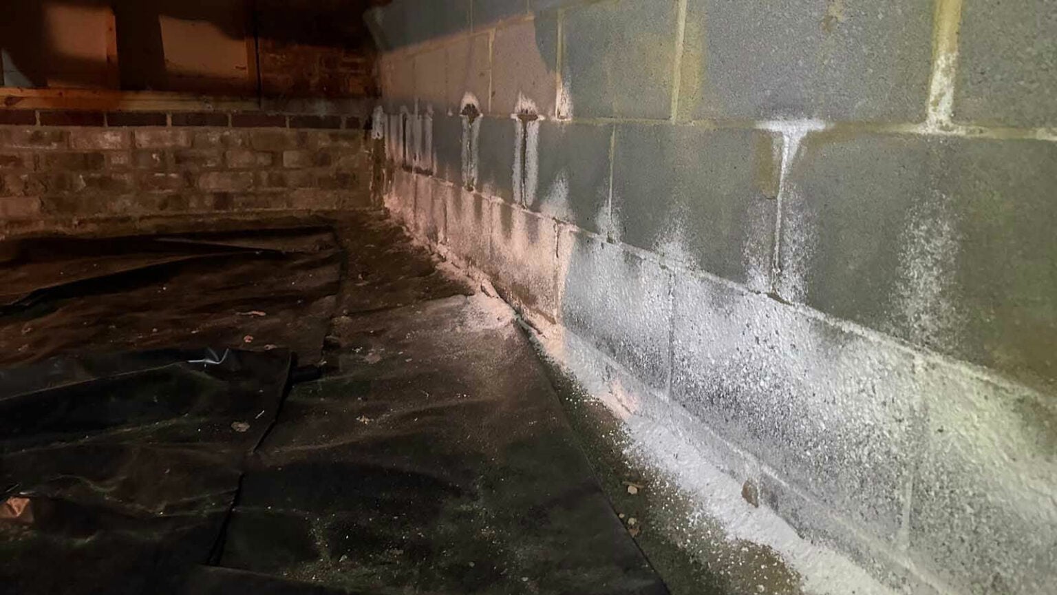 Damp concrete block basement wall with white efflorescence along the floor