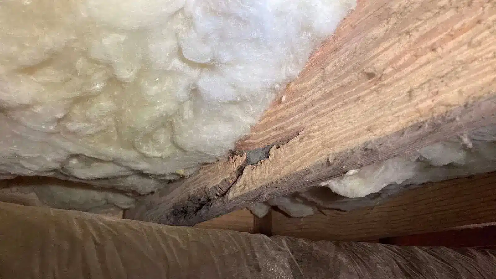 Fiberglass insulation between wood floor joists