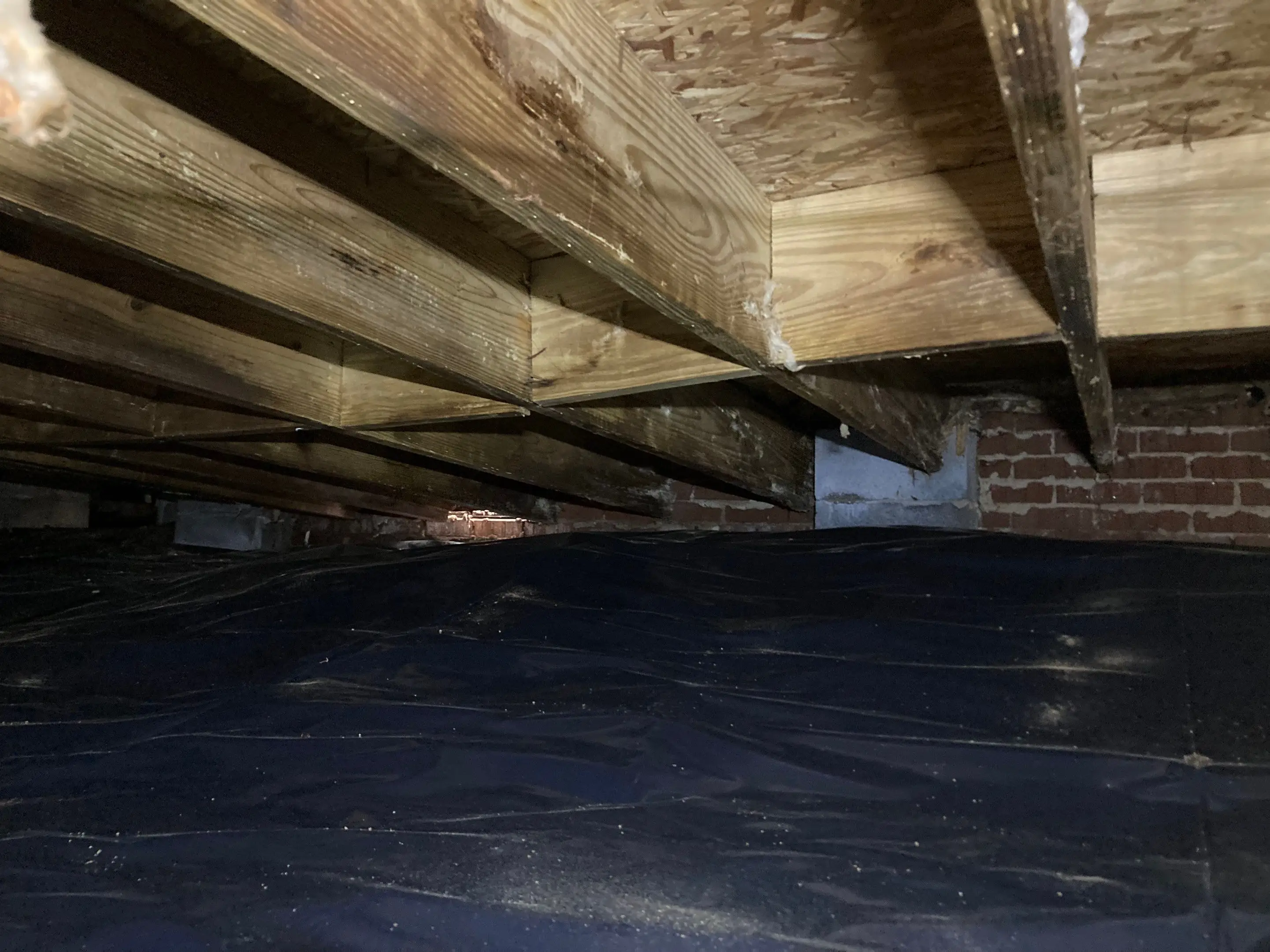 Floor joists above a crawl space with a black vapor barrier