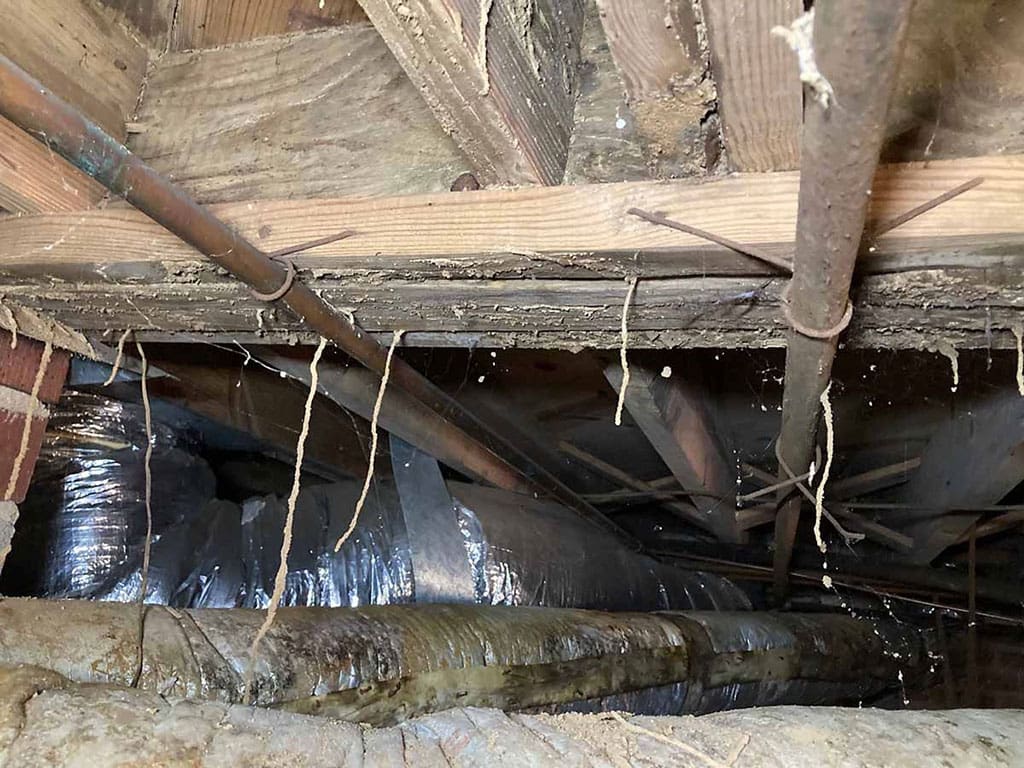 Damp crawl space with stained wood framing and torn duct insulation